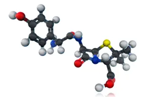 Atomic Prints: Amoxicillin Molecular Model