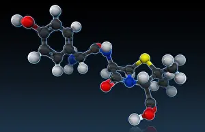 Atomic Prints: Amoxicillin Molecular Model