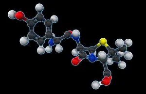 Atomic Prints: Amoxicillin Molecular Model