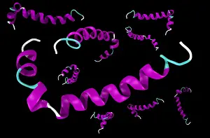 Nerve Prints: Amyloid beta peptide
