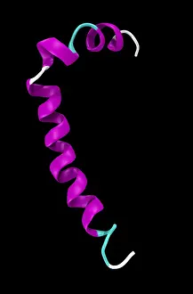 Nerve Prints: Amyloid beta peptide