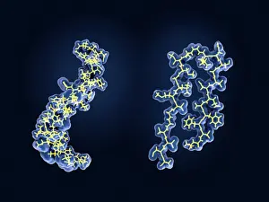 Pathological Prints: Amyloid beta peptide, model