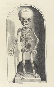 Humani Prints: Anatomia humani corporis, Table 101, 1690