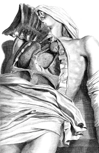 Humani Prints: Anatomia humani corporis, Table 21, 1690