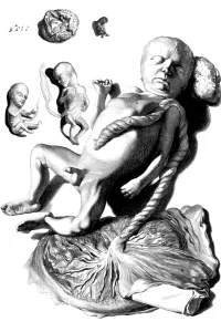 Humani Prints: Anatomia humani corporis, Table 57, 1690
