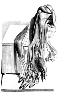 Humani Prints: Anatomia humani corporis, Table 67, 1690