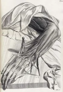 17th Prints: Anatomia humani corporis, Table 70, 1690