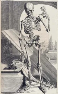 Humani Prints: Anatomia humani corporis, Table 87, 1690