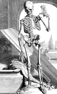 Humani Prints: Anatomia humani corporis, Table 87, 1690