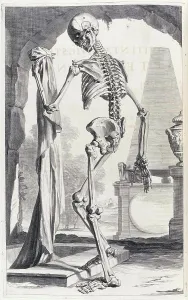 Humani Prints: Anatomia humani corporis, Table 88, 1690