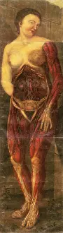 Part Prints: Anatomie Generale Des Visceres