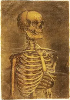 Part Prints: Anatomie Generale Des Visceres