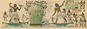 Wall Prints: Ancient Egypt, Bird Hunting