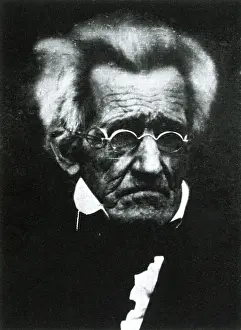 Hickory Prints: Andrew Jackson, 7th U.S. President