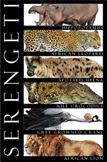 Big Cats Prints: Animals of the Serengeti, Poster
