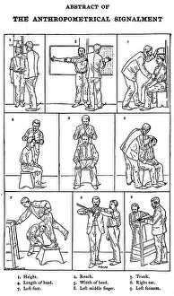 Court Prints: The Anthropometrical Signalment, 1896