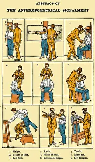 Record Prints: The Anthropometrical Signalment, 1896