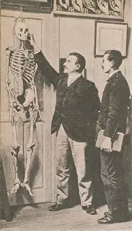 Forensics Prints: Anthropometry