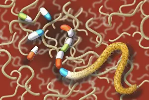 Gram Prints: Antibiotic Resistant Bacteria, Illustration