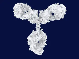 System Prints: Antibody, artwork