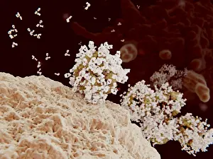 Pathological Prints: Antibody opsonization of influenza viruses