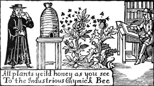 Rose Prints: Apiculture, Beekeeping, 18 Century