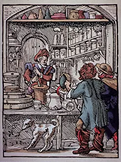 Apothecary Prints: Apothecary, 16th Century
