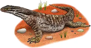 River Prints: Argus Monitor