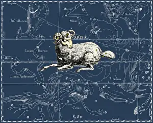Asterism Prints: Aries Constellation, 1687