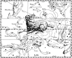Astronomy Prints: Aries Constellation, Zodiac Sign, Hevelius, 1687