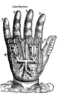 Combat Prints: Artificial Hand Designed by Ambroise Pare, 1564