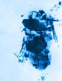 Toxic Prints: Asbestos fibers
