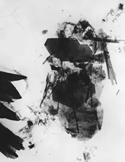 Toxic Prints: Asbestos fibers