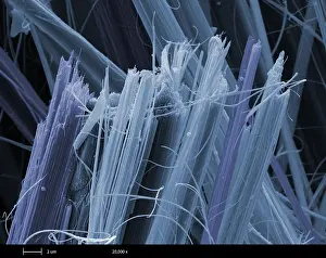 Nature, History, Science Prints: Asbestos, under a microscope (SEM)