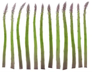 Plantae Prints: Asparagus, X-ray