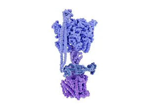Protons Prints: ATP synthase, 3D illustration