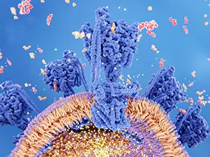 Protons Prints: ATP synthase creating ATP, 3D illustration