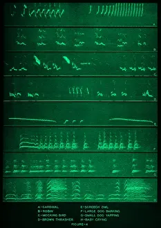 Visual Prints: Audio Spectrograms