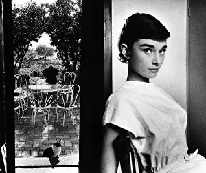 Misc Prints: Audrey Hepburn, British Actress