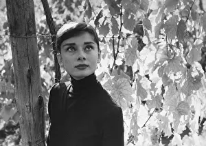 Theater Prints: Audrey Hepburn, British Actress