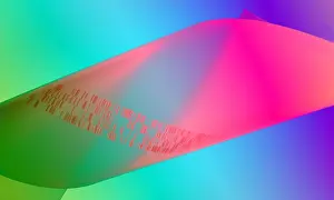 2003 Prints: Autoradiograph