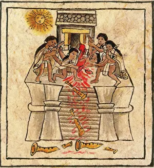 Icon Prints: Aztec Human Sacrifice, Codex Florentine, 16th Century