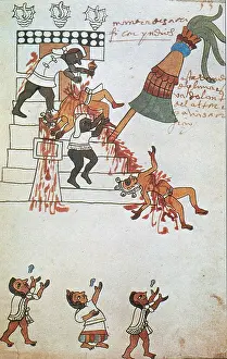 Codices Prints: Aztec Human Sacrifice, Codex Tudela, 16th Century