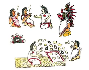 Religious Prints: Aztec Medicine, Codex Magliabechiano, 16th Century