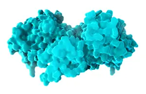 Mutation Prints: B-Raf Protein, Molecular Model