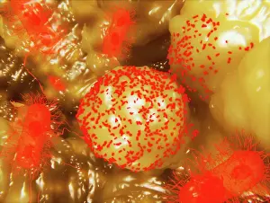 System Prints: Bacilli, artwork