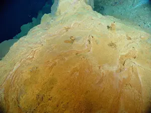 Volcanoes Prints: Bacterial Mat at Hydrothermal Vent
