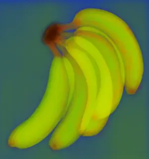 Foods Prints: Bananas, X-ray