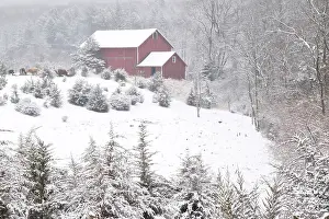 Many Science & Medical Prints: Barn in Winter