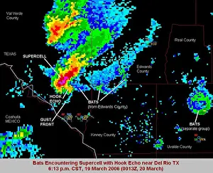 Strong Prints: Bats Encounter Supercell with Hook Echo, Radar